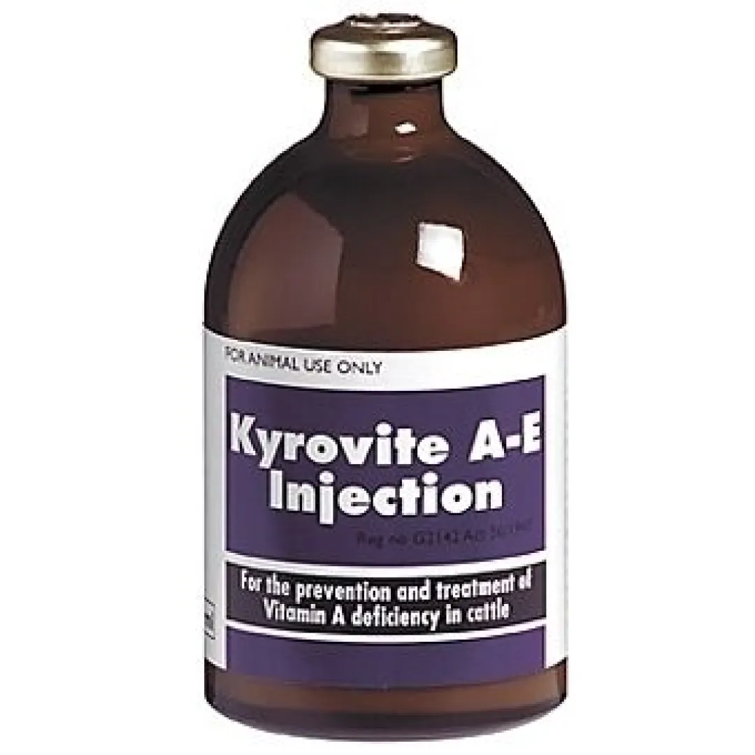 Kyrovite A/E 100 ml | ANB Vet