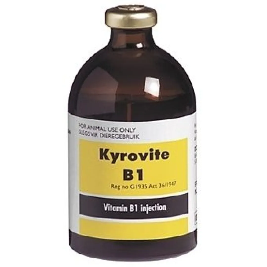 Kyrovite B1 100 ml | ANB Vet