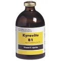 Kyrovite B1 100 ml | ANB Vet