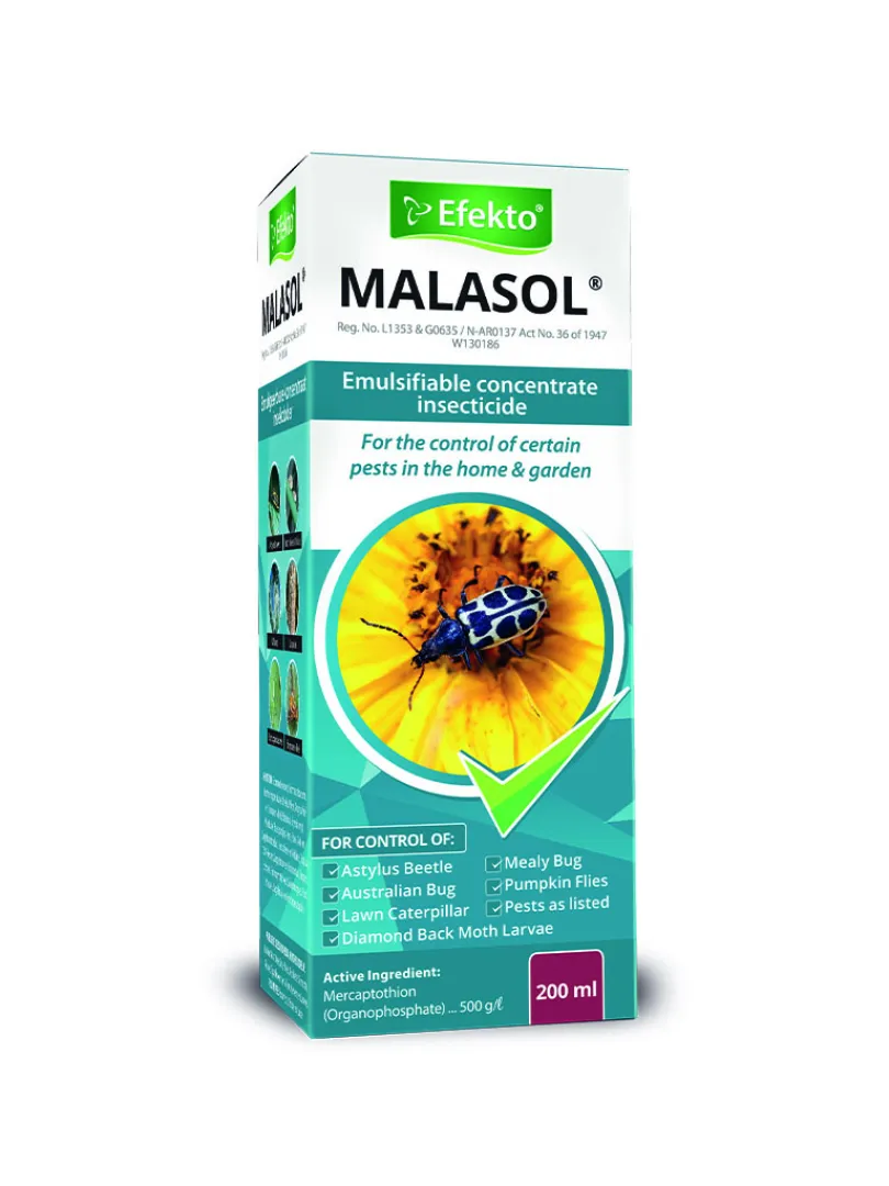 Malasol 100 ml | ANB Vet