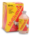 Multivax P 100 ml | ANB Vet