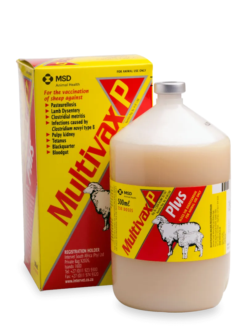Multivax P Plus 100 ml | ANB Vet