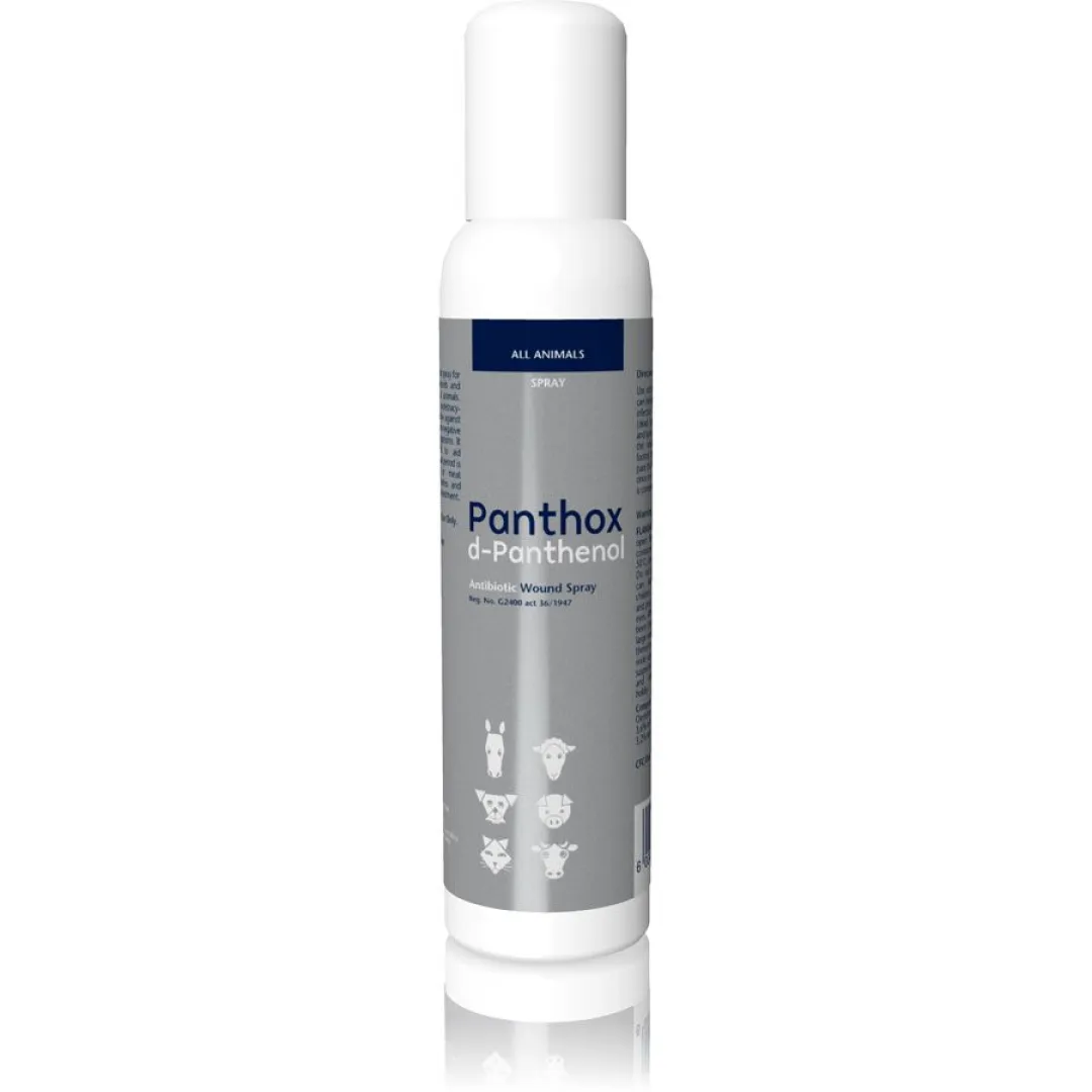 PANTHOX d-PANTHENOL Plain | ANB Vet
