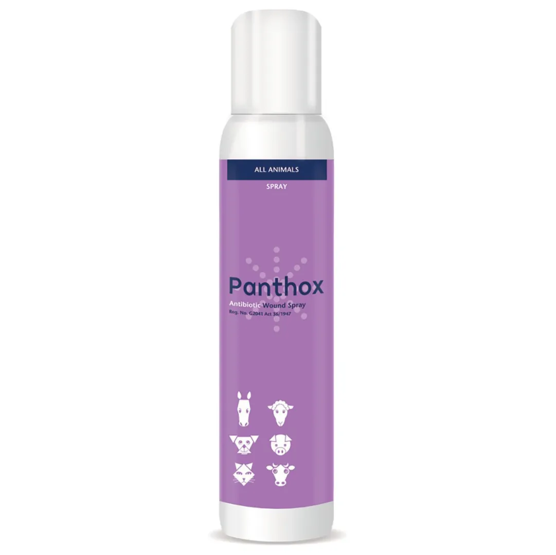 PANTHOX GENTIAN VIOLET 200 ml | ANB Vet