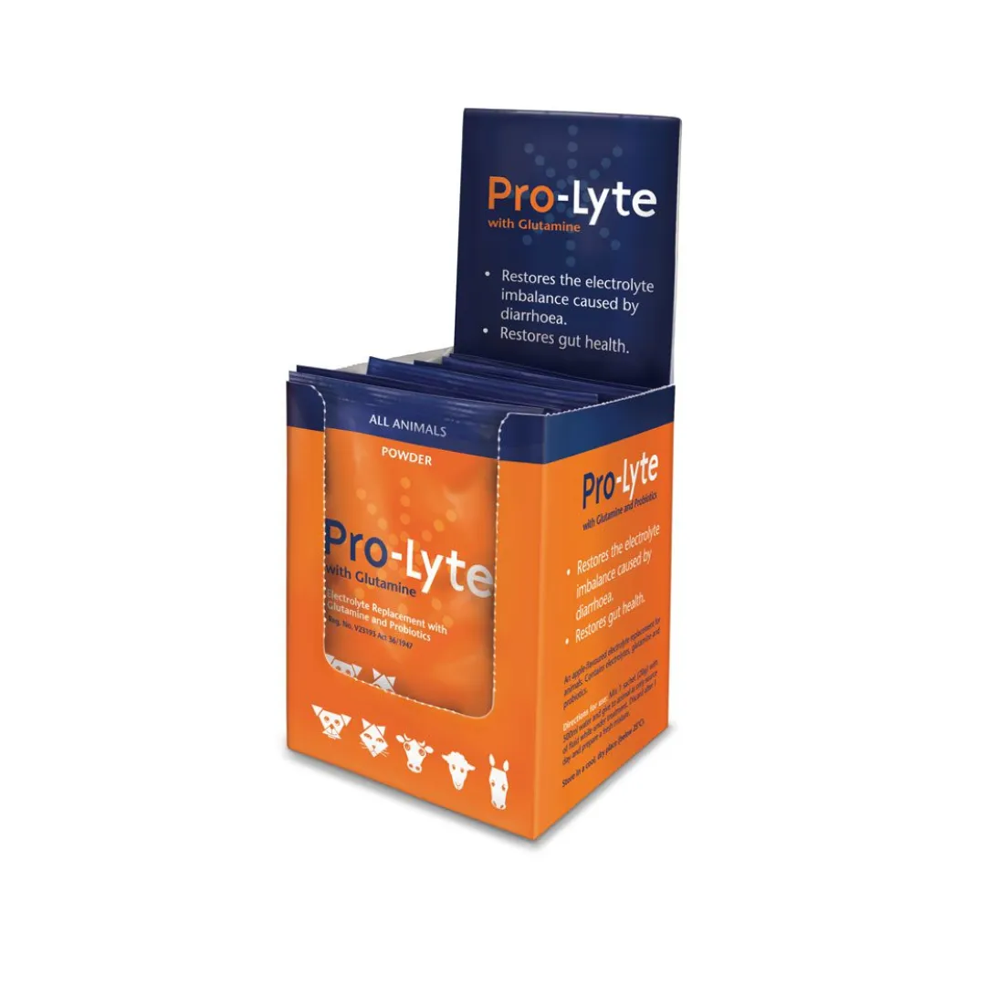 Pro Lyte with Glutamine | ANB Vet