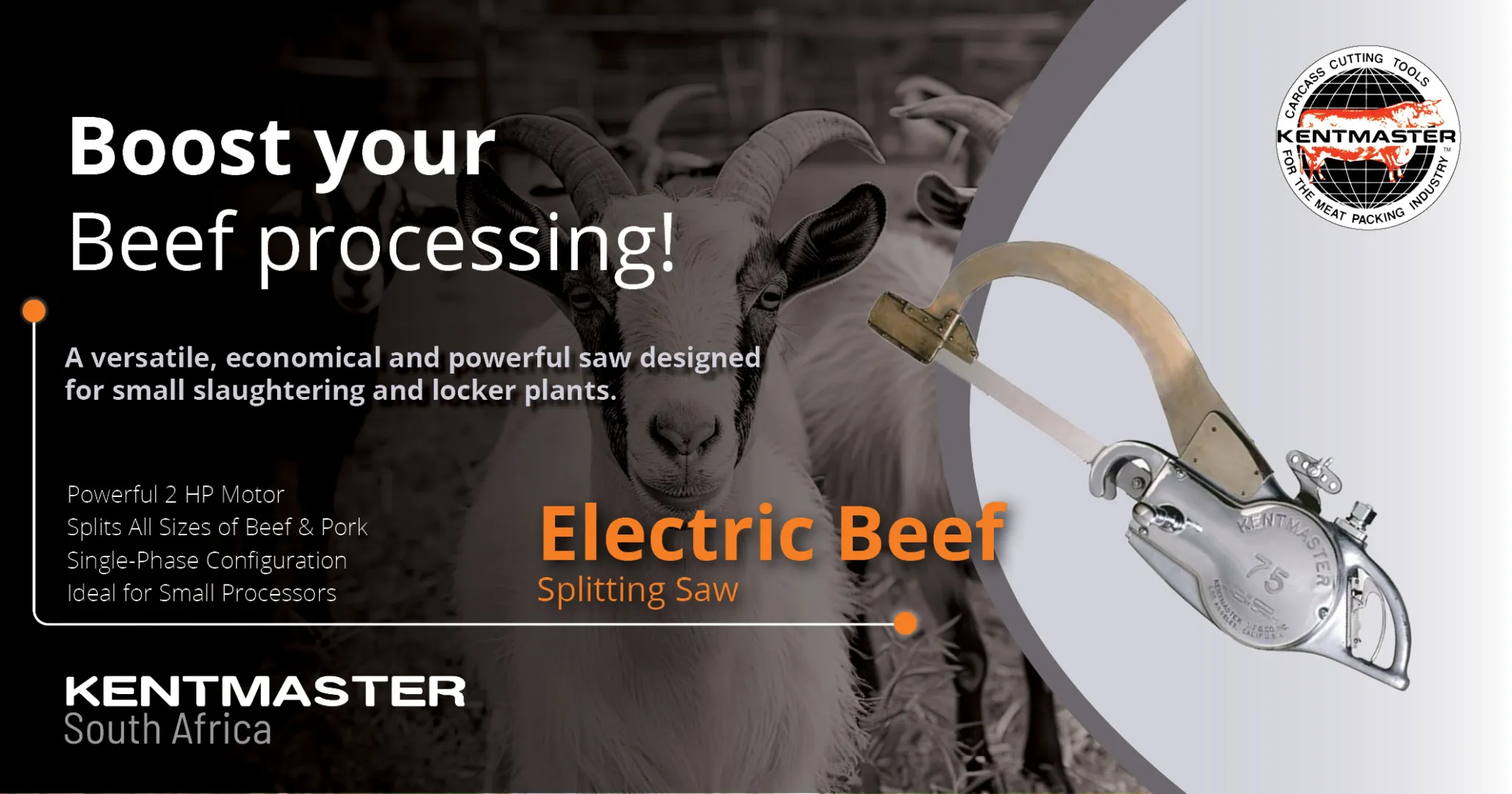 Boost your beef processing | Electric beef splitting saw | Kentmaster