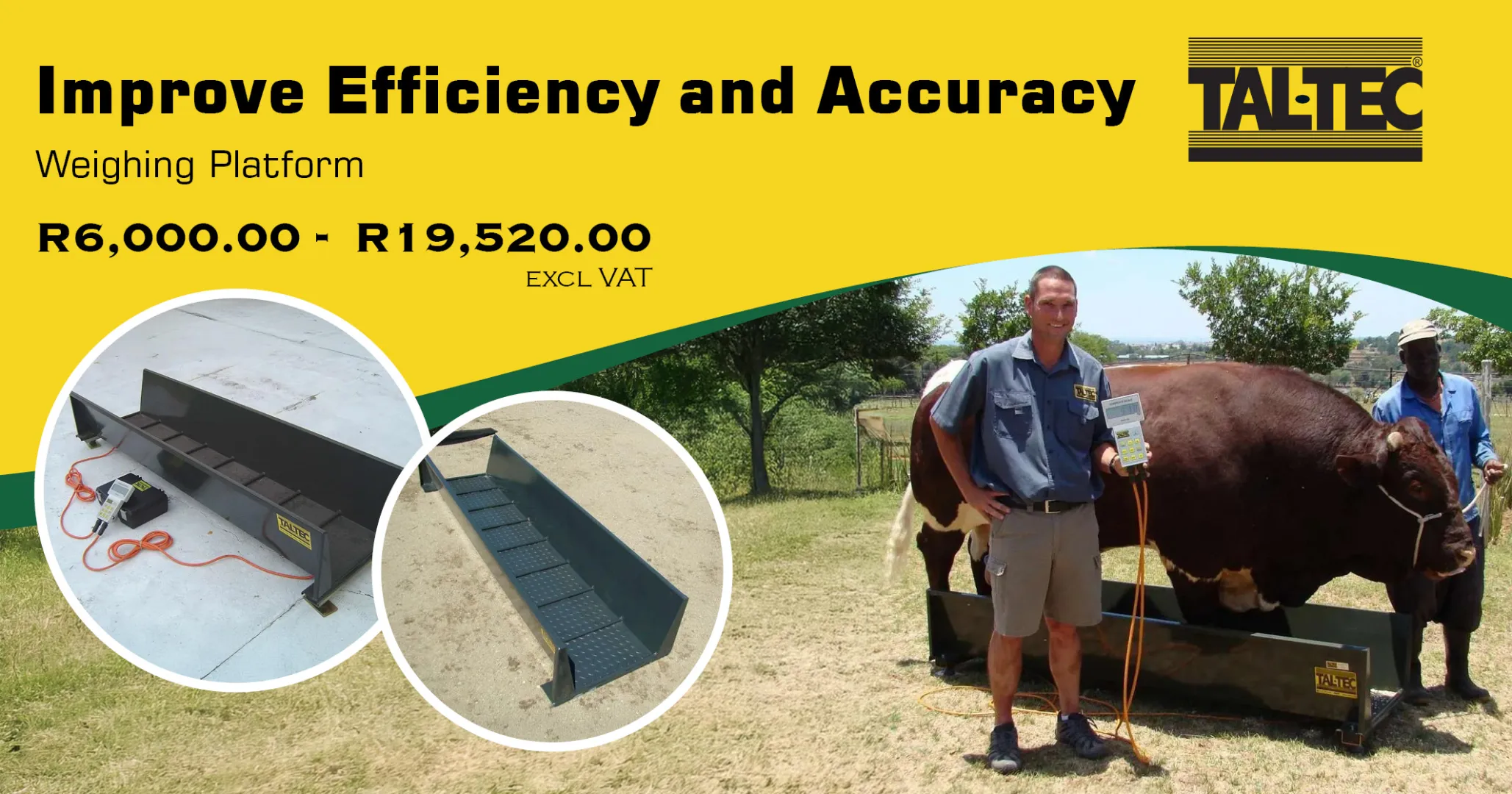Improve efficiency &amp; accuracy | Weighing Platform | Tal-Tec