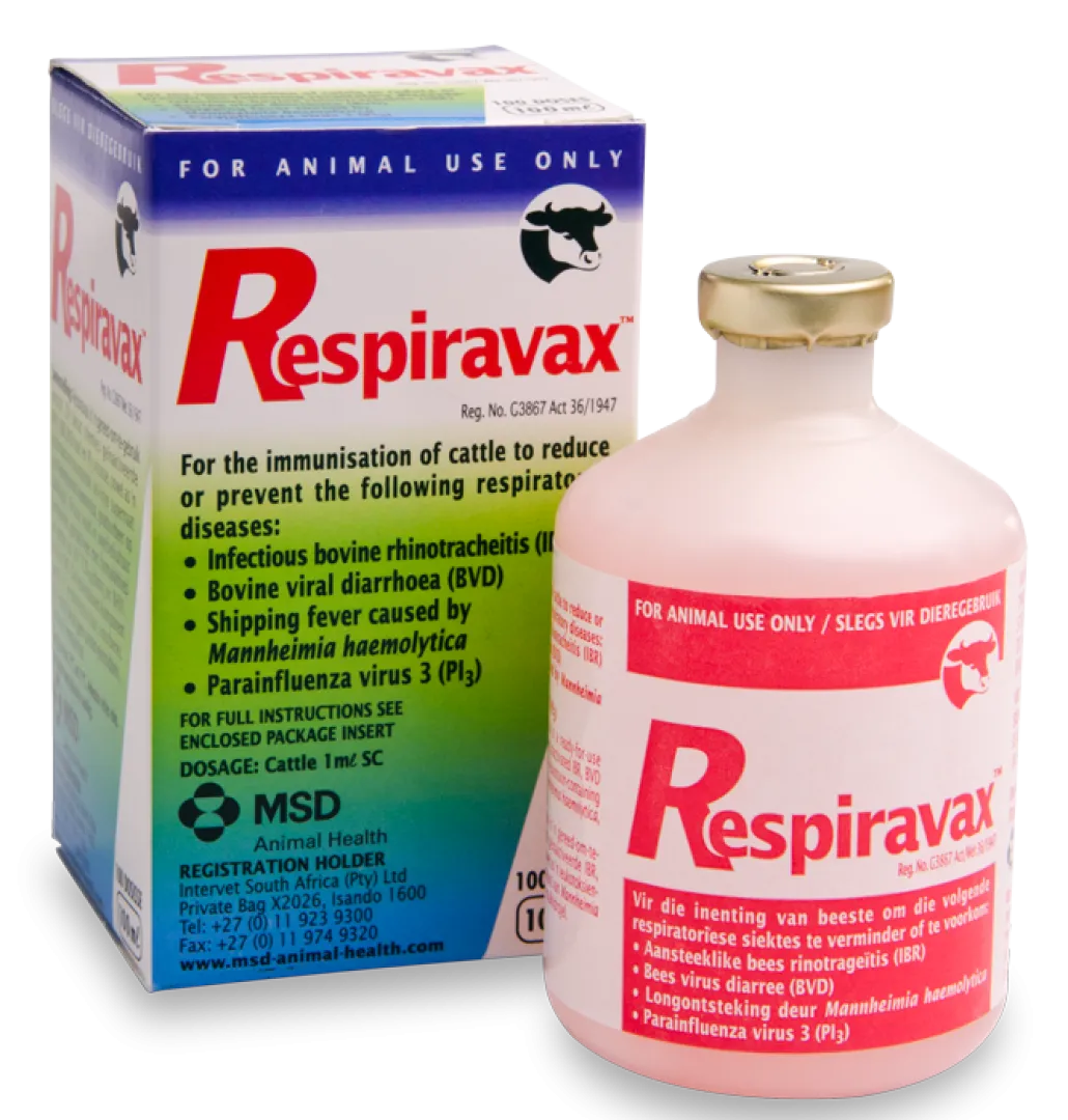 Respiravax 100 d | ANB Vet