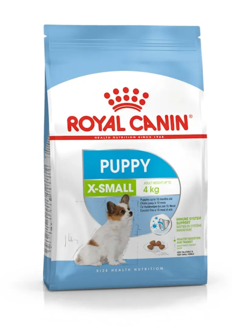 X-Small puppy | ANB Vet
