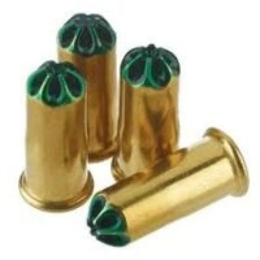 A ACCLES SP .22 Blanks (25) | African Hunter and Outfitters