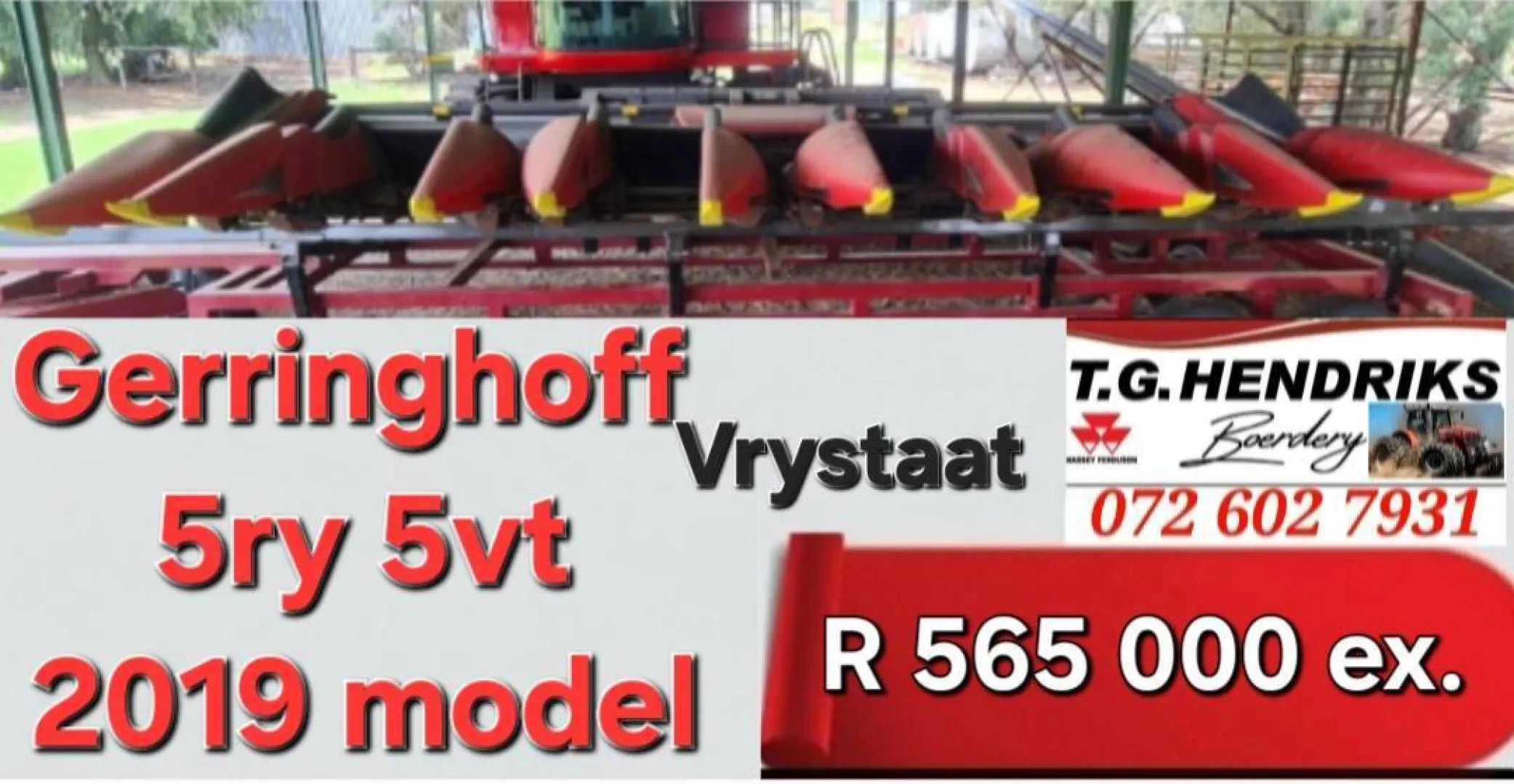 Gerringhoff 5ry 5vt | T.G. Hendriks