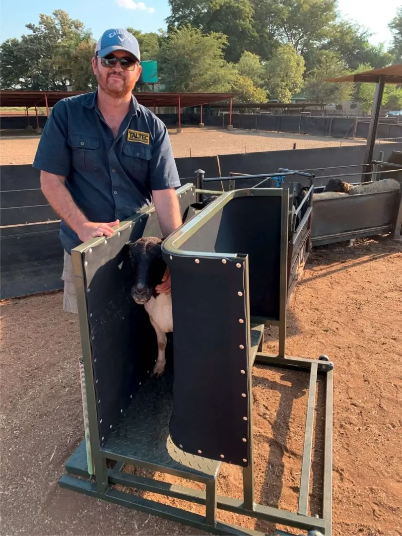 Sheep Clamp and Ramp COMBO | Tal-Tec