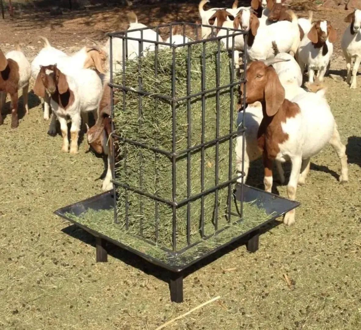Square Bale Feeder | Tal-Tec