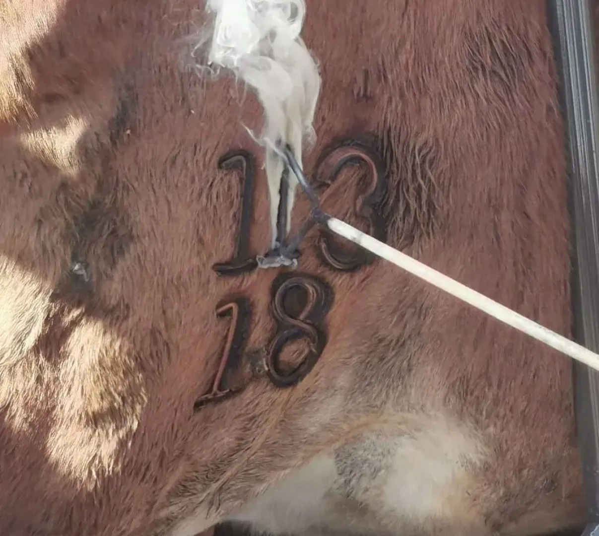 Branding Iron Sets | Tal-Tec