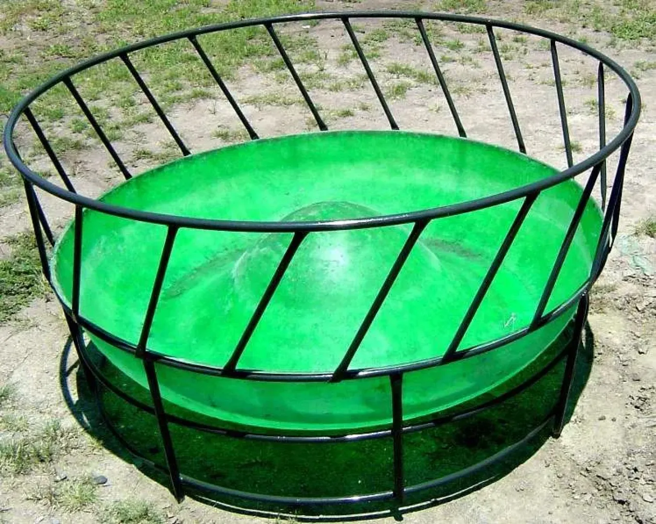 Cattle Ring feeders | Tal-Tec