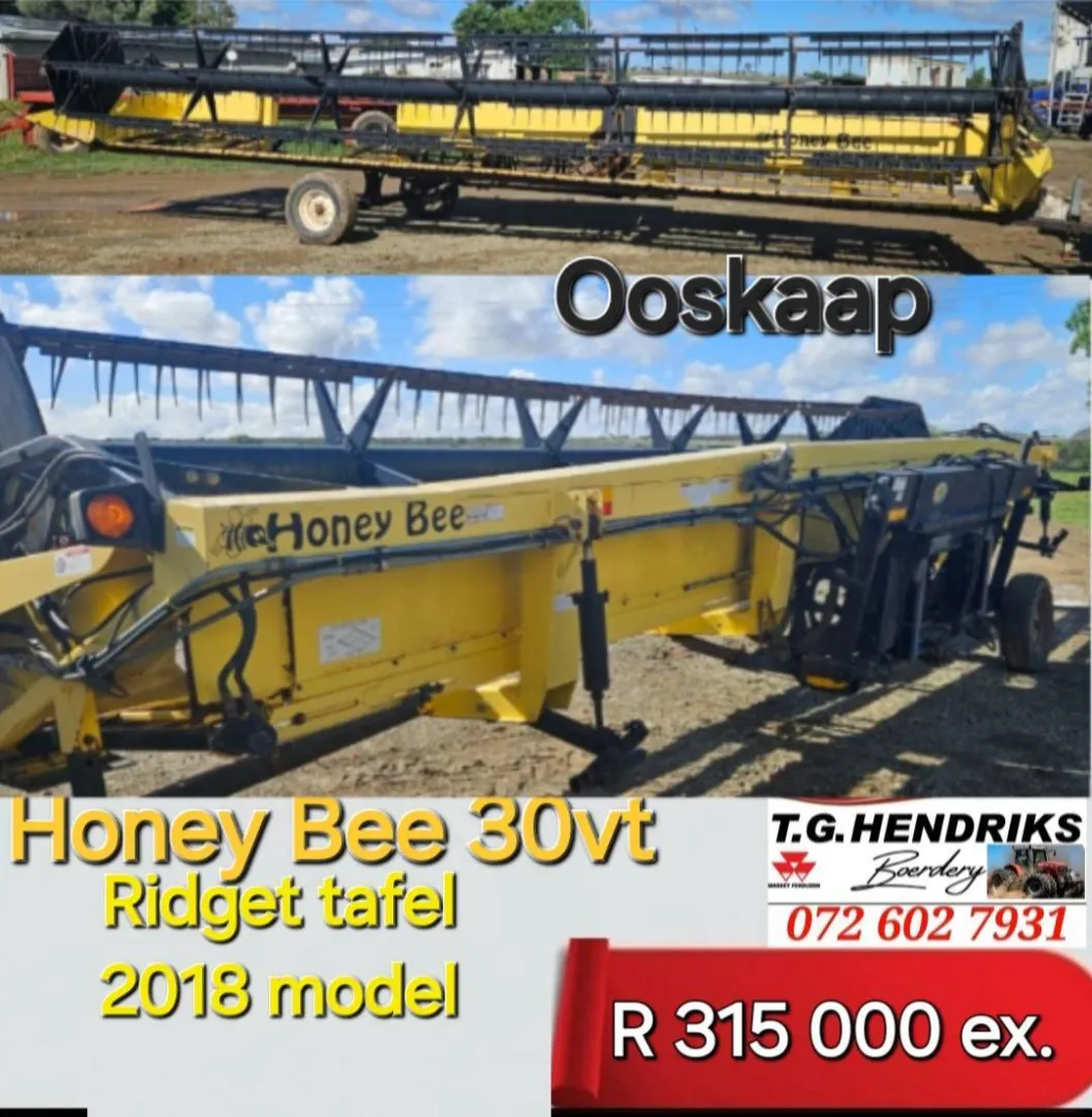 Honey Bee 30vt | T.G. Hendriks