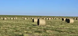 1.2 oulands gras | Agrimar