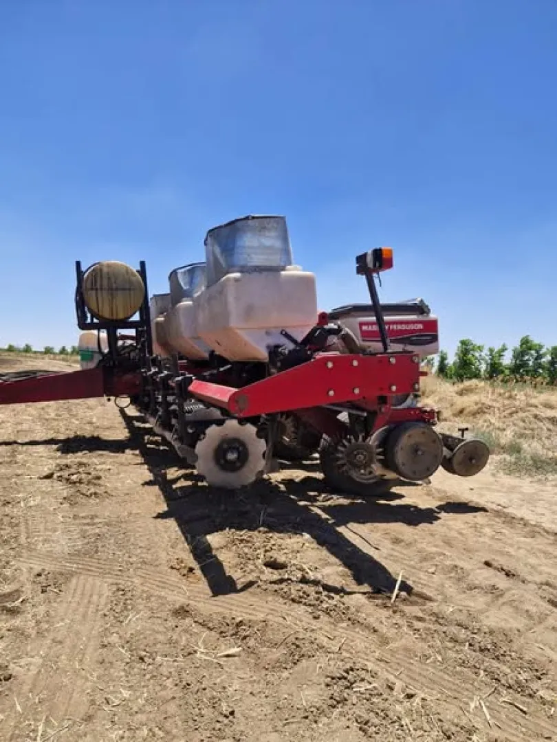Massey Ferguson mielieplanter | Agrimar