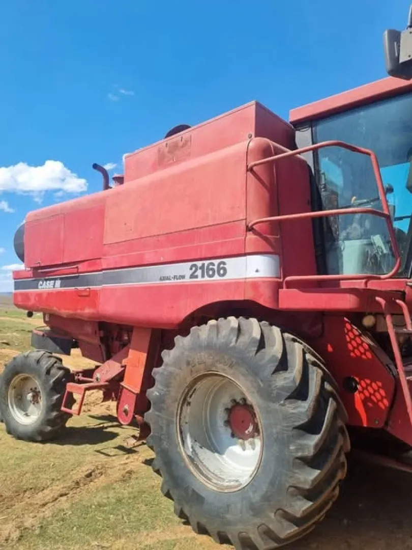 Case 2166 stroper | Agrimar