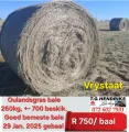 126 Oulandsgras bale | T.G Hendriks