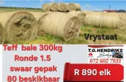 Teff bale 300 kg | T.G Hendriks