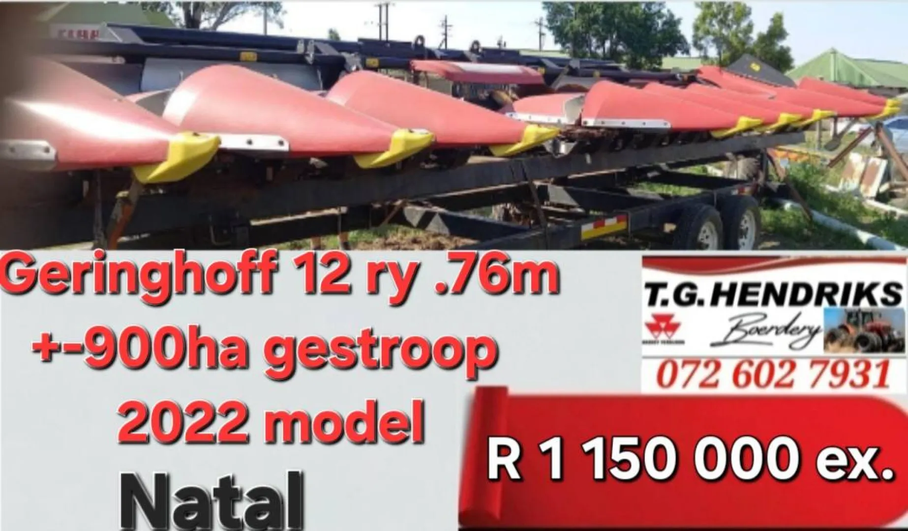 Gringhoff 12 ry .76 m | T.G Hendriks