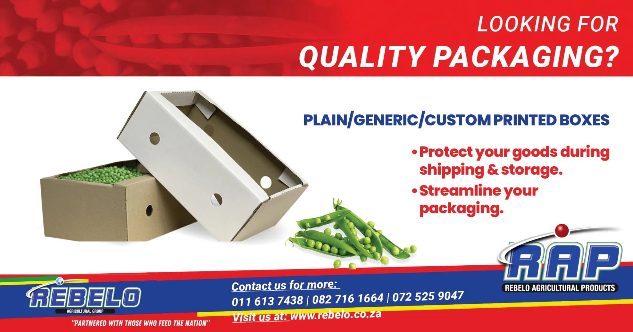 Plain/generic/custom printed boxes | Rebelo Agricultural Group