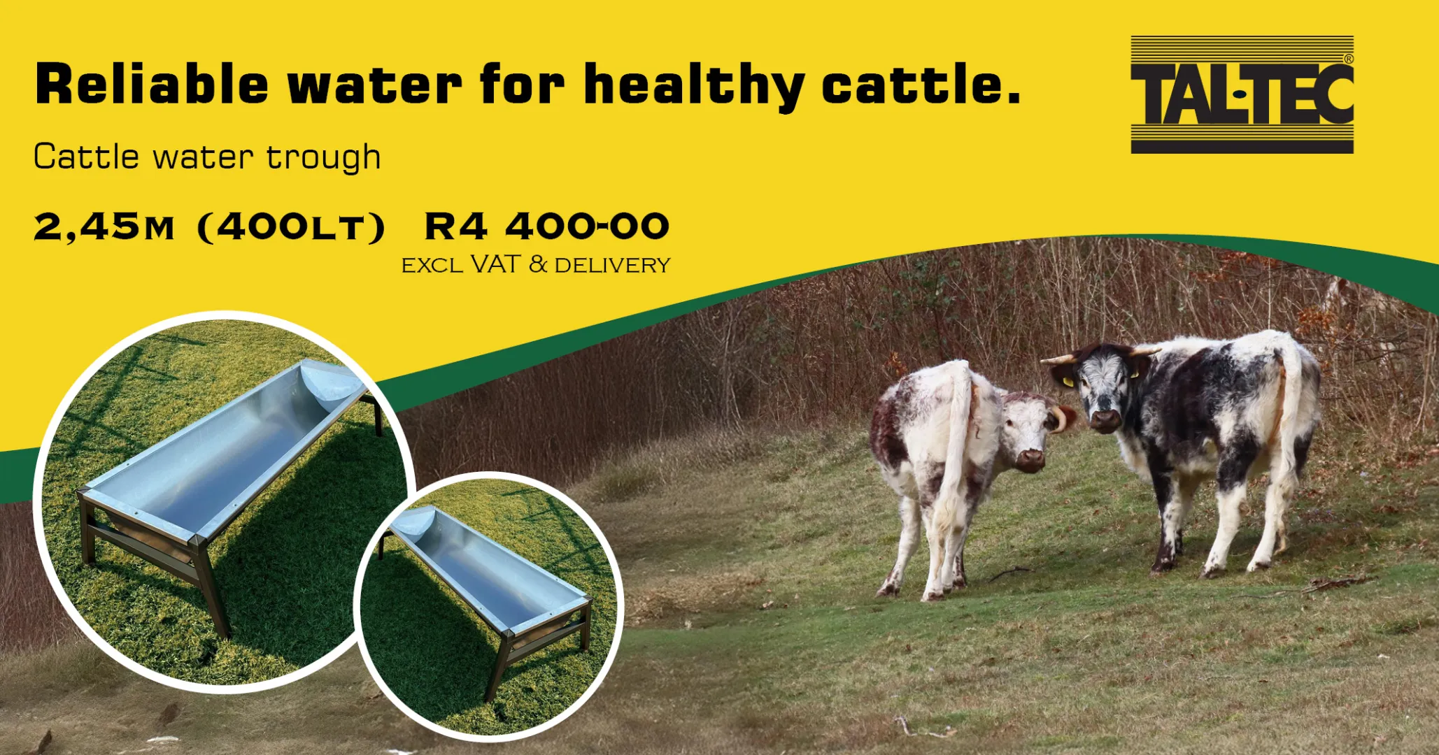 Reliable water for healthy cattle | Cattle water trough | Tal-Tec