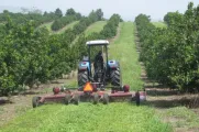 FX318 flex wing rotary cutter | Radium Engineering