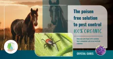 Happy Pets | Agri Frequencies