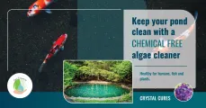 Clear Pond - Agri Frequencies