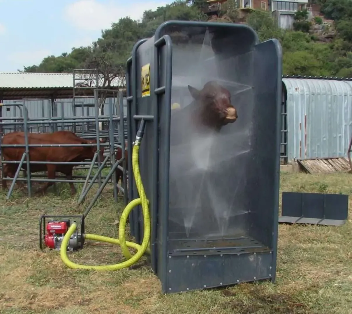 Cattle Spray Race (Semi-Portable) | Tal-Tec