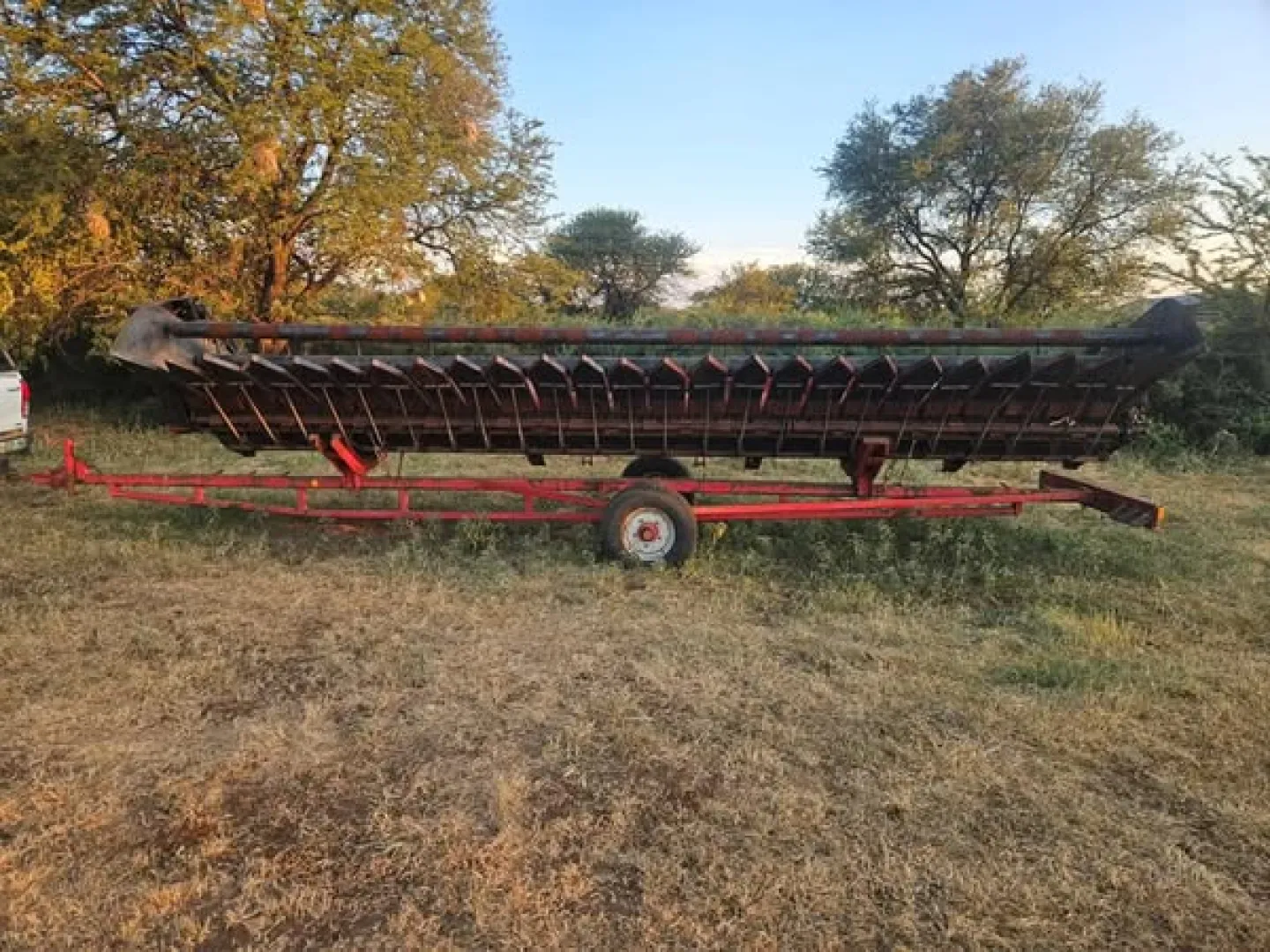 Case 1010 sonneblom tafel | Agrimar