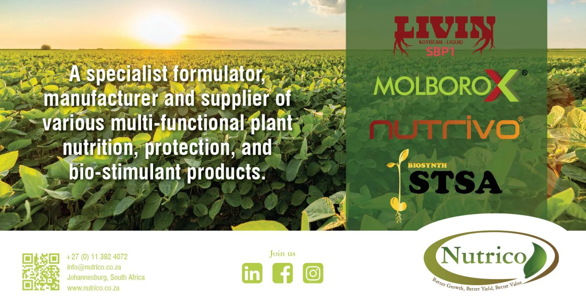 Innovative solutions for plant nutrition, protection &amp; growth | Nutrico