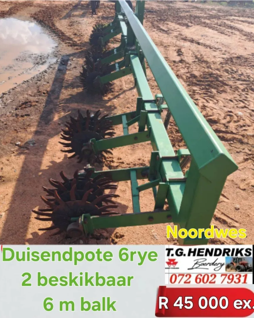 Duisendpote 6rye 2 beskikbaar | T.G. Hendriks