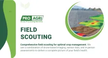 Comprehensive field scouting for optimal crop management | Pro-Agri Drone Processing Services