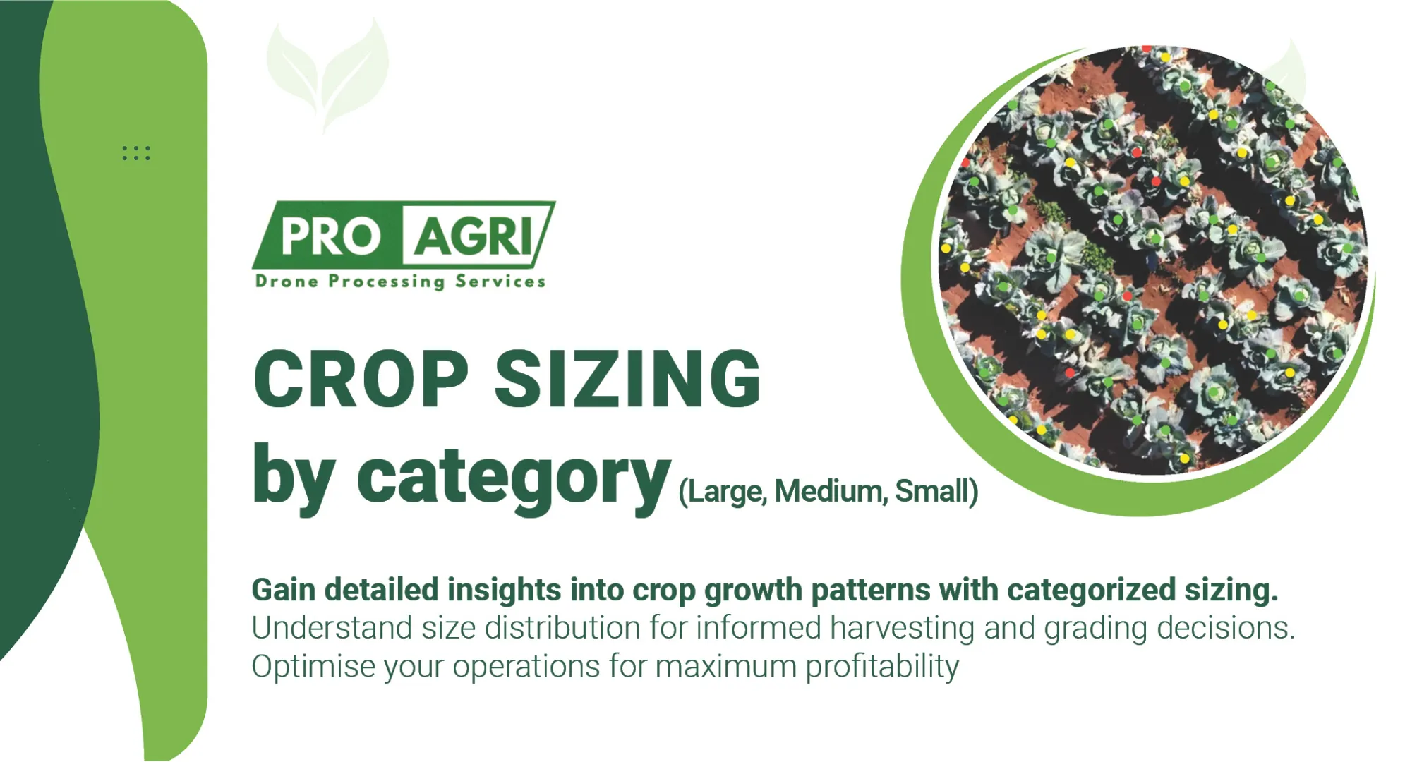 Crop sizing by categorized sizing | Pro-Agri Drone Processing Services