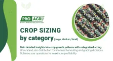 Crop sizing by categorized sizing | Pro-Agri Drone Processing Services