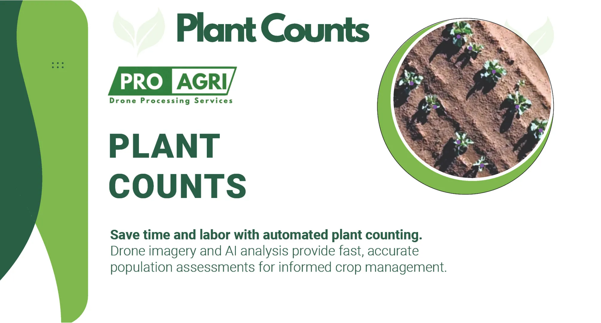 Detect planting issues early with plant count density analysis | Pro-Agri Drone Processing Services