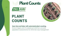 Detect planting issues early with plant count density analysis | Pro-Agri Drone Processing Services