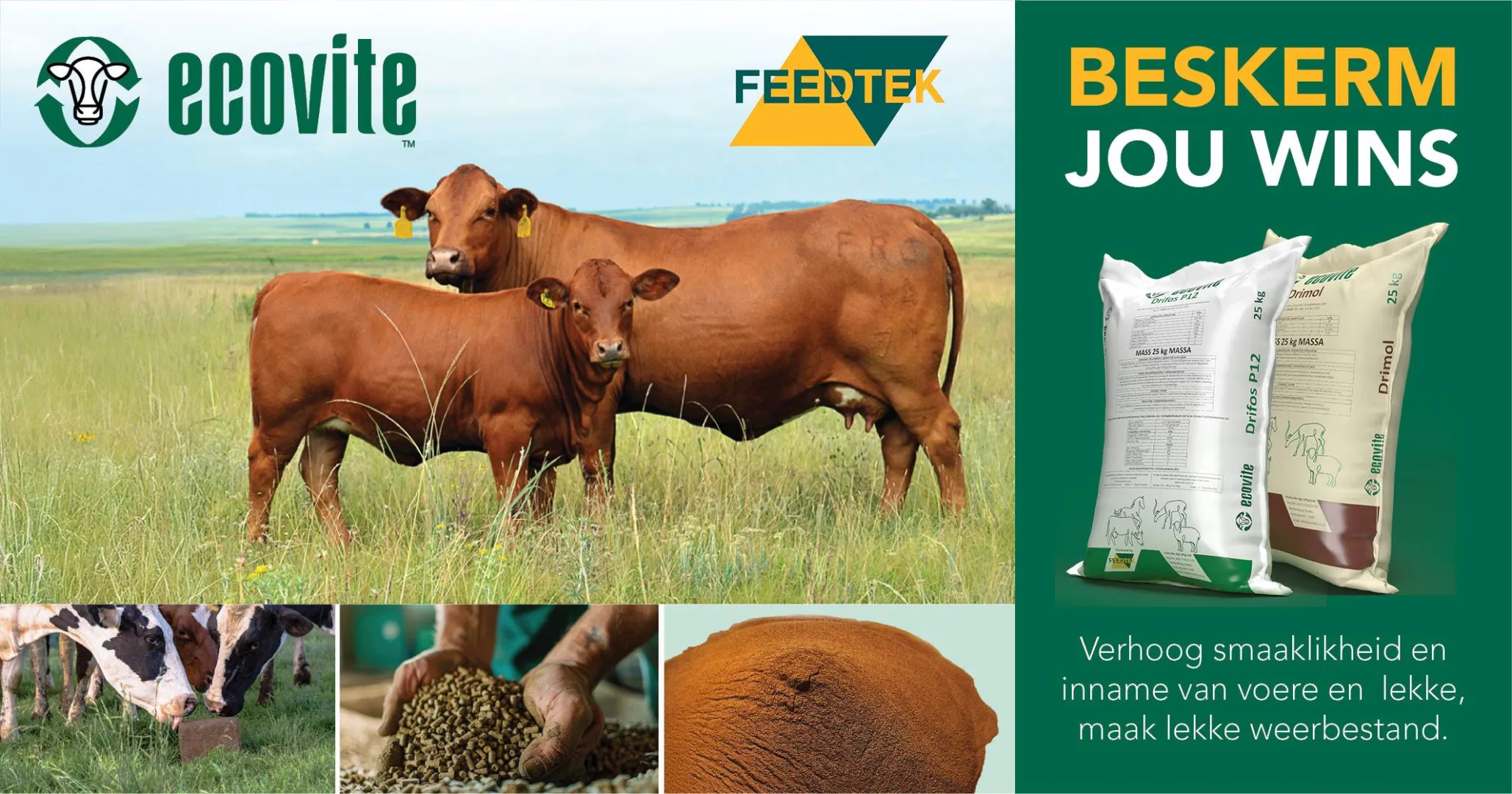 Beskerm jou wins | Ecovite | Feedtek Animal Feed Solutions