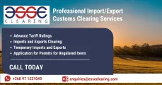 Professional import/export customs clearing services | ESSE Clearing