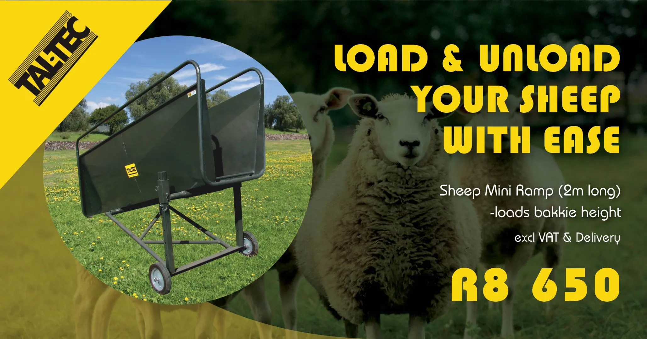 Load and unload your sheep with ease! | Sheep Mini Loading Ramp (2m) | Tal-Tec