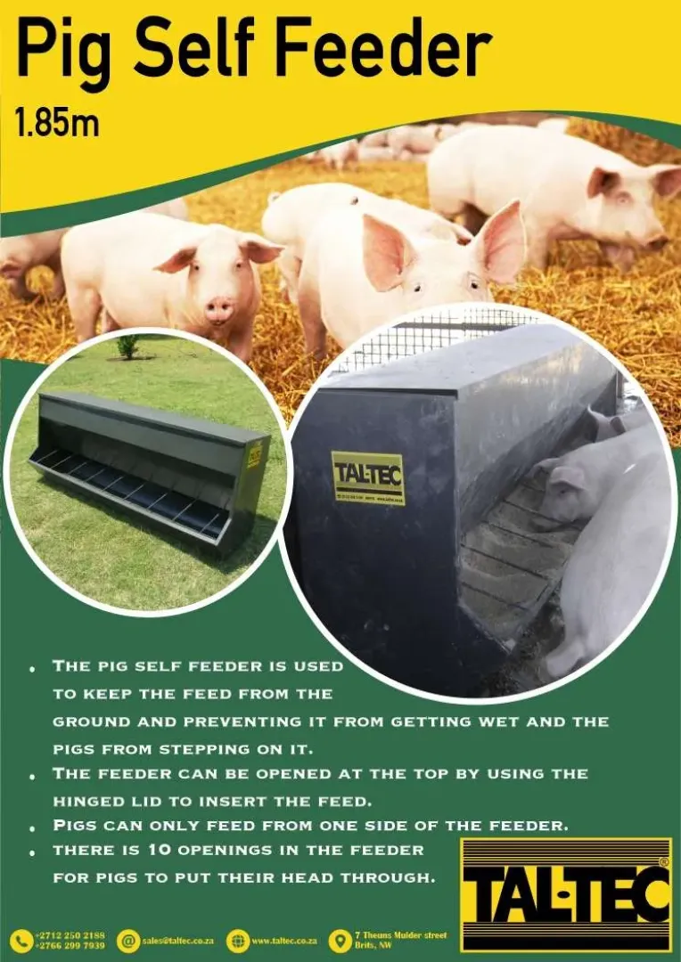The pig self-feeder keeps feed off the ground | Tal-Tec