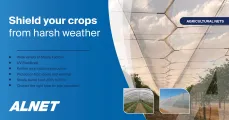 Agriculture Nets | Shield your crops from harsh weather | Alnet