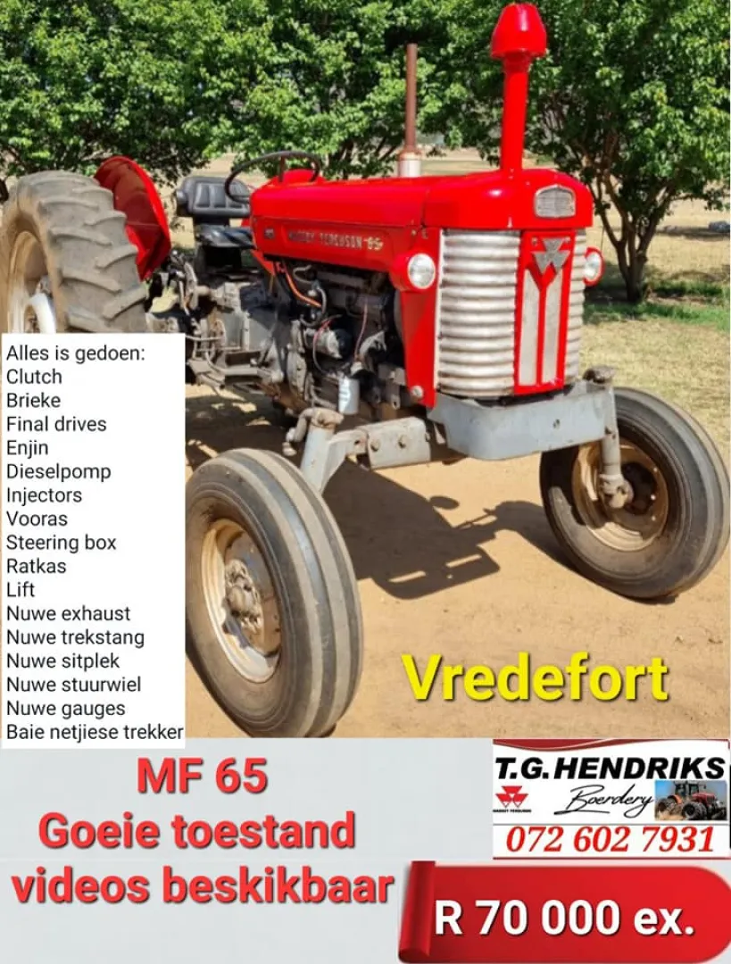 Massey Ferguson 65 | T.G Hendriks boerdery