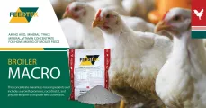 Advanced concentrate for home-mixed broiler feeds | Broiler Macro | Feedtek Animal Feed Solutions