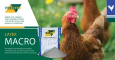 Layer Macro | Stronger layers, higher egg production | Feedtek Animal Feed Solutions