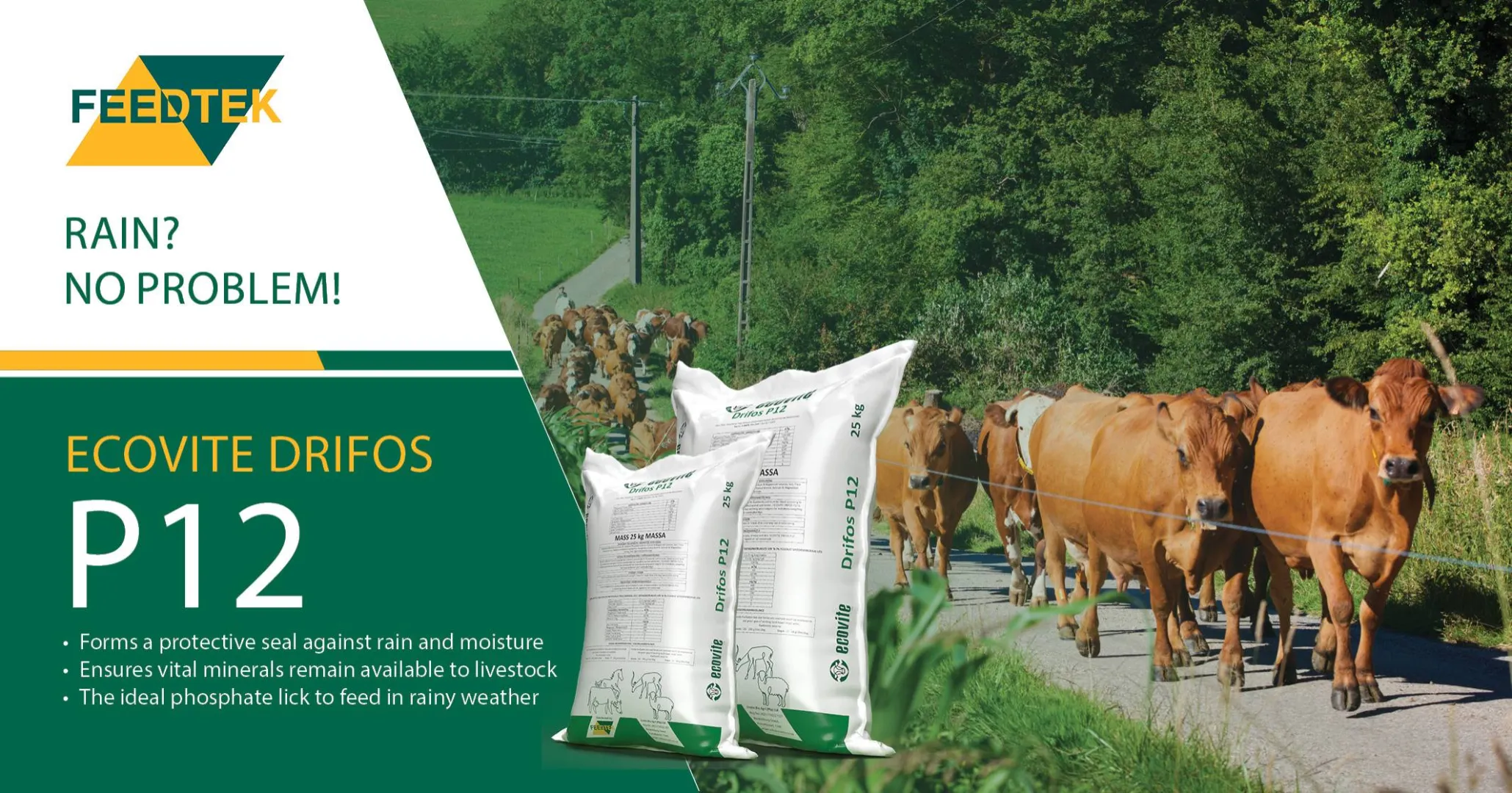 Rain ready nutrition with Ecovite Drifos P12 | Feedtek Animal Feed Solutions
