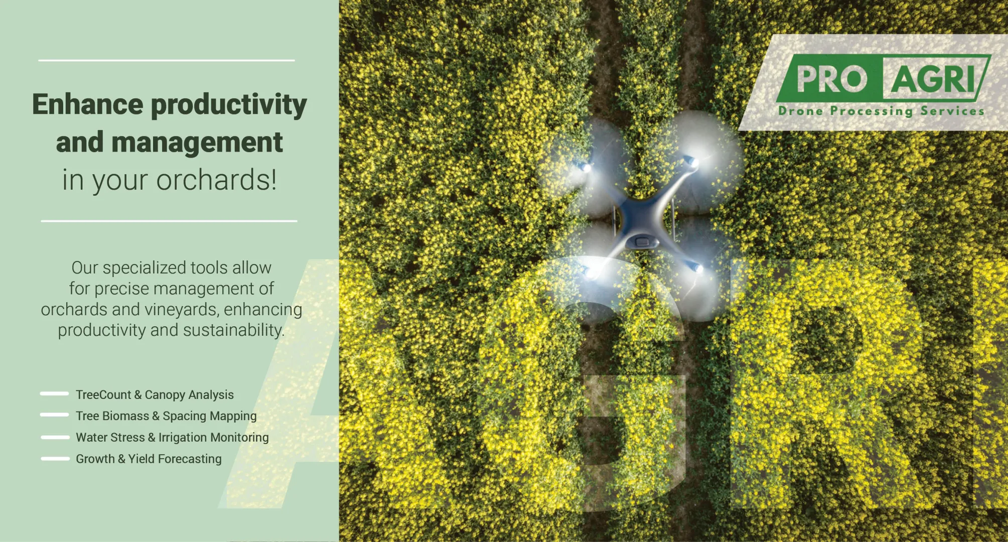 Enhance productivity and management in your orchards! | Pro-Agri Drone Processing Services